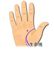 教你如何看生命線長(zhǎng)短 教你如何看生命線長(zhǎng)短