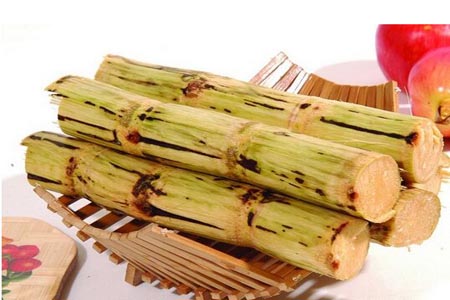 冬季我們應(yīng)該吃些什么樣的水果才好 冬季我們應(yīng)該吃些什么樣的水果才好