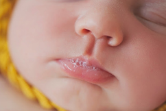 1448528236664032.png Image 002.png