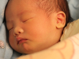 1448528352707479.png Image 003.png