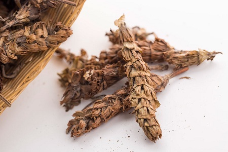 1448595878870861.jpg 61p.jpg