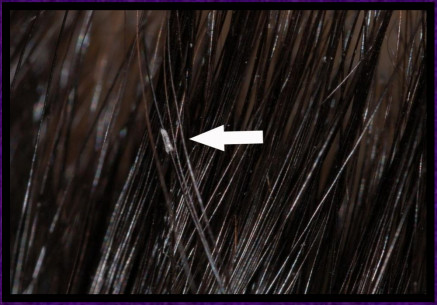 1448607516250115.jpg snap0339.jpg