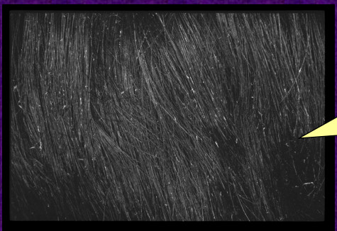 1448607542353665.jpg snap0341.jpg