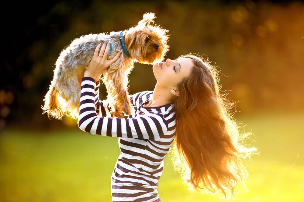 1448612081814920.jpg 240399-1511050TT663.jpg