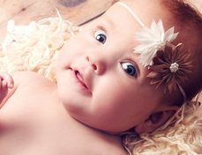 1448766944538678.png Image 001.png