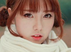 1448846266749412.png Image 003.png