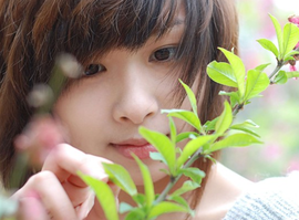 1448849680201297.png Image 001.png