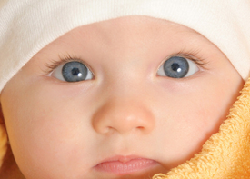 1448866748984341.png Image 002.png