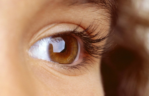 1448874967875987.jpg 11_100604093059_1.jpg