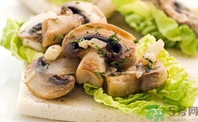 蘑菇和茄子能一起吃嗎？蘑菇和茄子一起吃會中毒嗎？