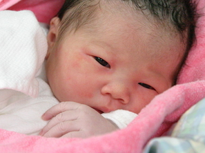 1448963619167271.png Image 001.png