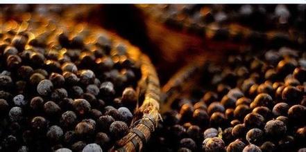 1449043993949447.jpg u=3679993442,1046546928&fm=21&gp=0.jpg