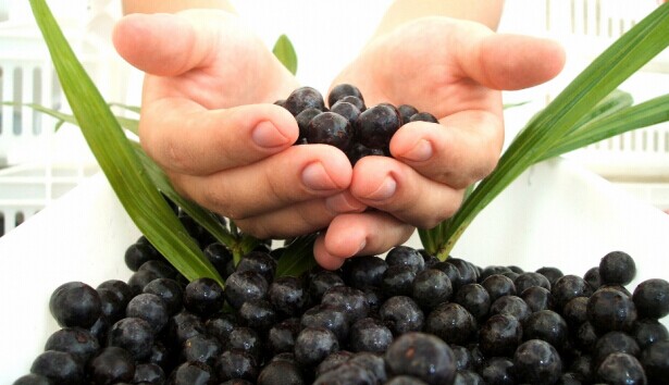 1449044467556567.jpg 20141113235631_54016.jpg