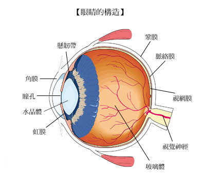 1449106843855625.jpg asdfasdf造.jpg