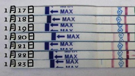 女性排卵期怎么計算最準確 女性排卵期怎么計算最準確