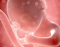 1449138779909560.png Image 002.png