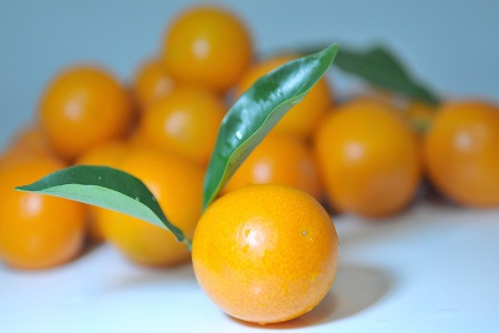 喉嚨痛怎么治療效果好 喉嚨痛怎么治療效果好