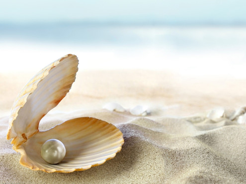 1449209841373048.jpg 20120815200346724.jpg