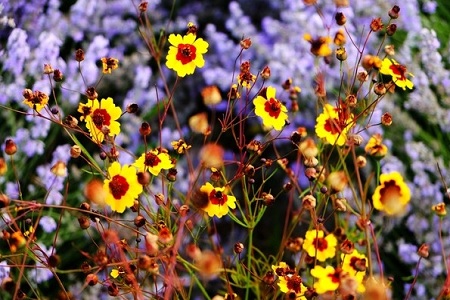 1449210799348127.jpg 33052_20140726234044063200_1.jpg