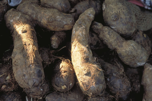 1449557888414962.jpg 240425-12101119494270.jpg