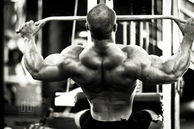 1449650040829805.jpg 1.jpg