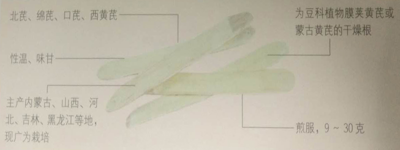 黃芪的功效之最佳補(bǔ)中益氣之藥 黃芪的功效之最佳補(bǔ)中益氣之藥