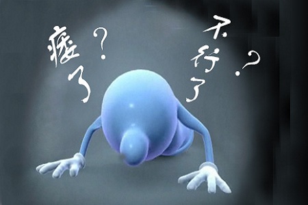 1449796465636657.jpg 19300001315949131106377333181.jpg