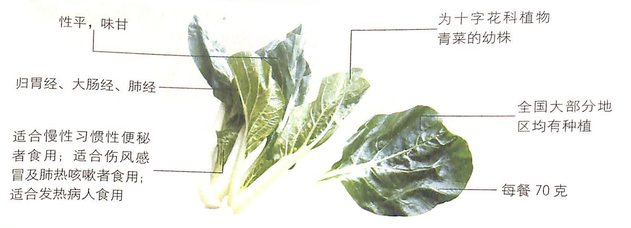 大雪節(jié)氣吃小白菜能延緩皮膚衰老 大雪節(jié)氣吃小白菜能延緩皮膚衰老