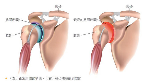 1449819154104604.jpg 23096318102_8e9dff60f8.jpg