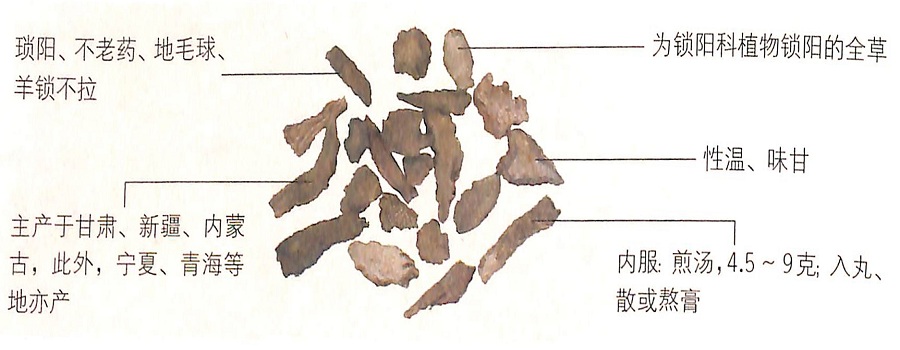 1449822801401946.jpg 1.jpg