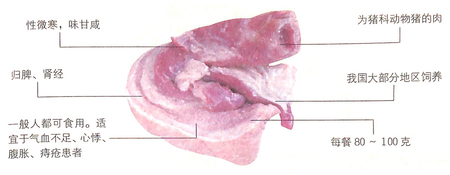 小寒節(jié)氣吃什么?豬肉能滋養(yǎng)臟腑,滑潤(rùn)肌膚 小寒節(jié)氣吃什么?豬肉能滋養(yǎng)臟腑,滑潤(rùn)肌膚