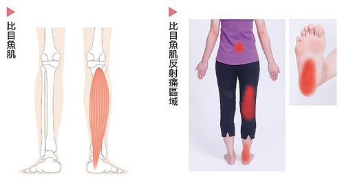 1450081809759156.jpg 23018569584_64d830b84c.jpg