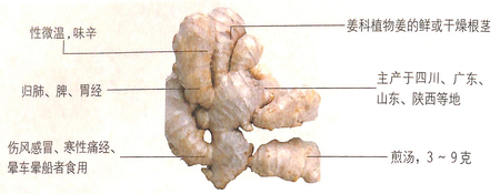 1450083679971934.jpg 1234234.jpg