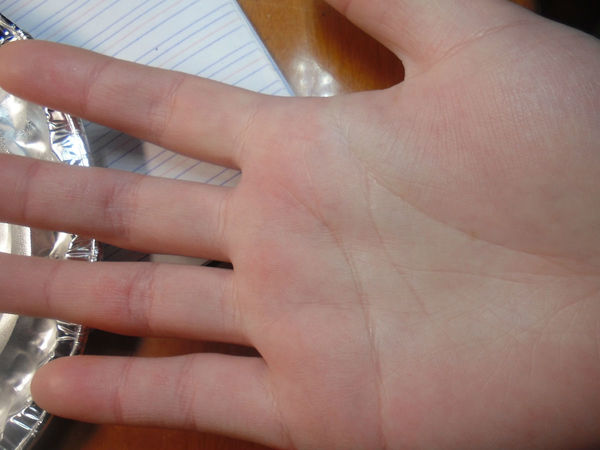 1450141844227104.jpg d52a2834349b033b68c9eb6215ce36d3d439bdc0.jpg