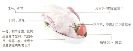 大寒期間吃什么?鵝肉滋陰潤(rùn)肺比較好 大寒期間吃什么?鵝肉滋陰潤(rùn)肺比較好