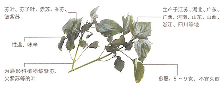 1450164085663719.jpg 111.jpg