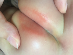 1450255825685199.png Image 002.png