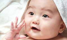 1450345175234381.png Image 001.png