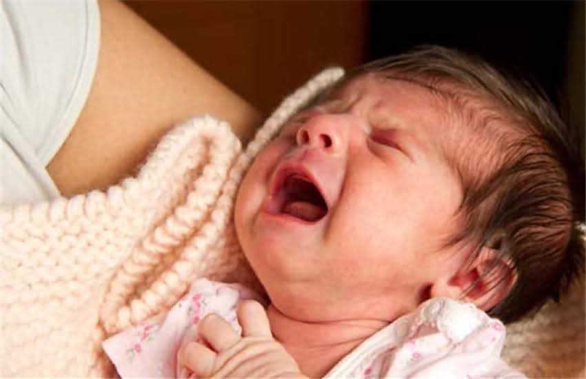 1450662575602778.jpg 1.jpg