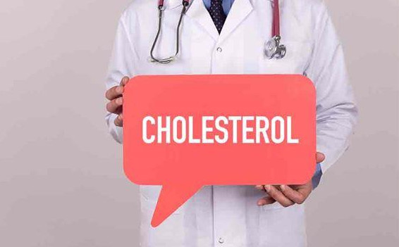 1450667597664023.jpg snap005.jpg