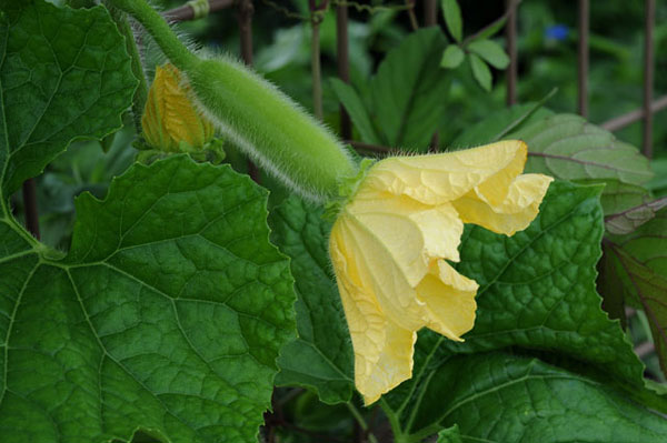 1450755924669994.jpg 10254001105.jpg