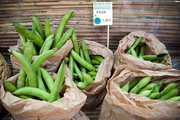 1450851450427186.jpg b75-1072503.jpg