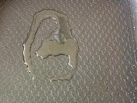 1450867682160363.jpg 10.jpg