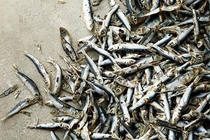 ?蚵仔湯抗痘、泡菜拌飯助睡眠 10款排毒抗發(fā)炎菜單