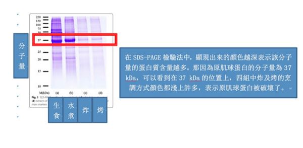 1451283126514132.jpg 91067.jpg