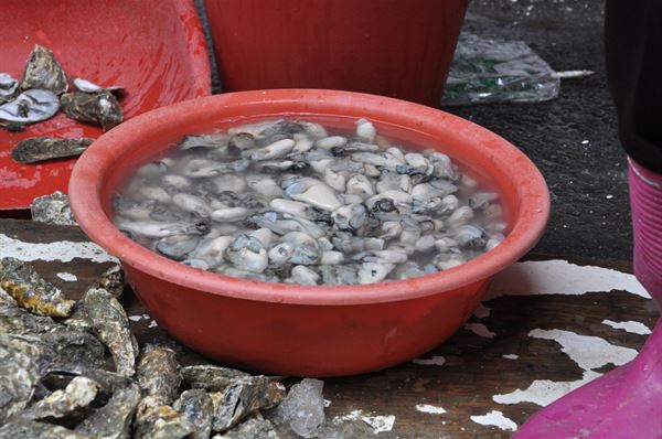 1451283129352367.jpg 91066.jpg