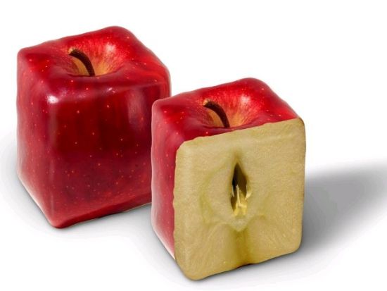 1451284461472856.jpg U5839P18DT20110908103941.jpg