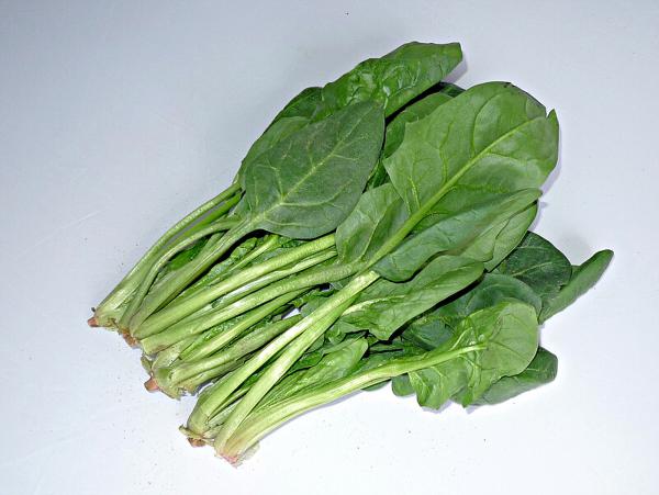 1451294883130950.jpeg W020141113363148126439.jpeg