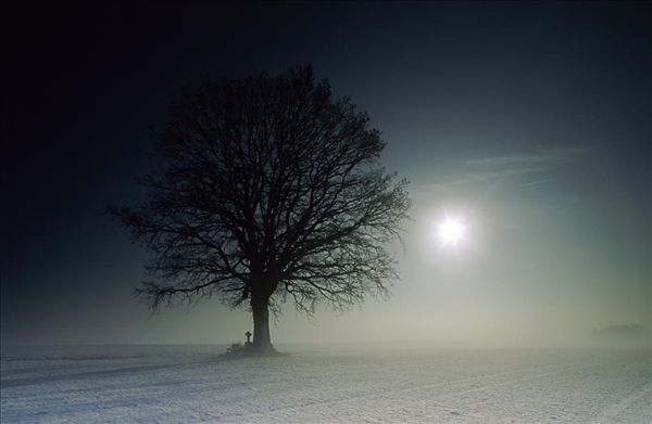 1451443685247655.jpg sps1263-170.jpg