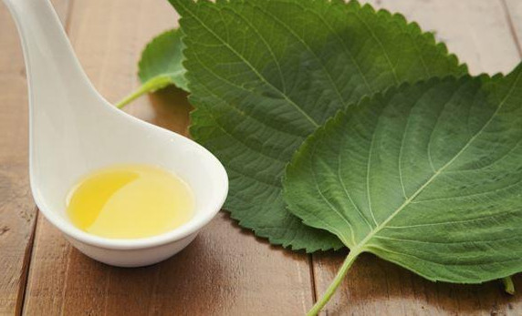 1451446935835375.jpg snap013.jpg